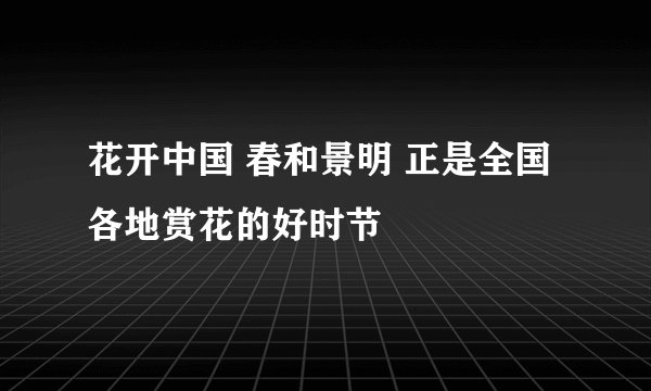 花开中国 春和景明 正是全国各地赏花的好时节