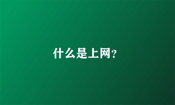 什么是上网？
