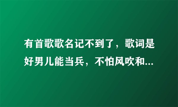 有首歌歌名记不到了，歌词是好男儿能当兵，不怕风吹和雨打···好男儿能当兵，保卫咱中华