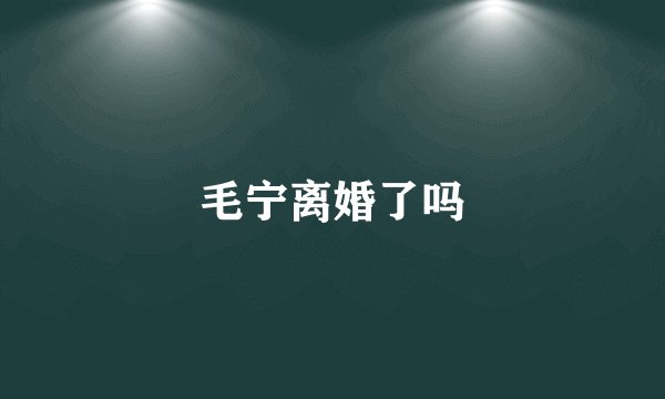 毛宁离婚了吗