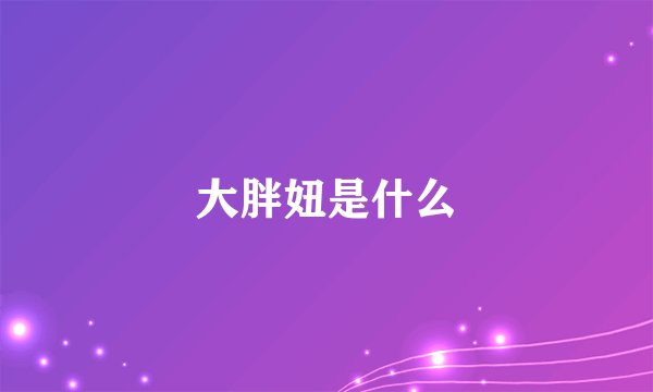 大胖妞是什么