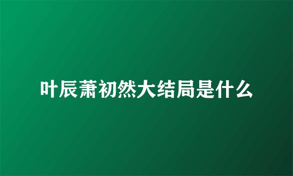 叶辰萧初然大结局是什么