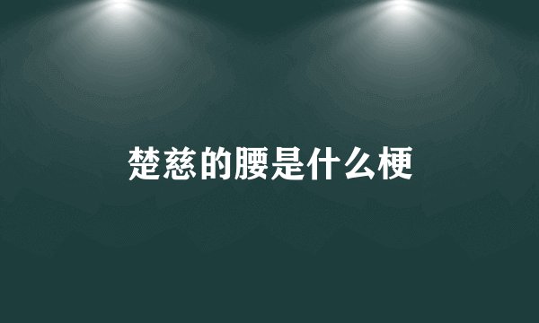 楚慈的腰是什么梗