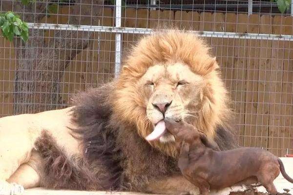 给脸不要脸的意思是什么？