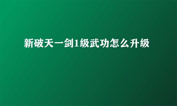 新破天一剑1级武功怎么升级
