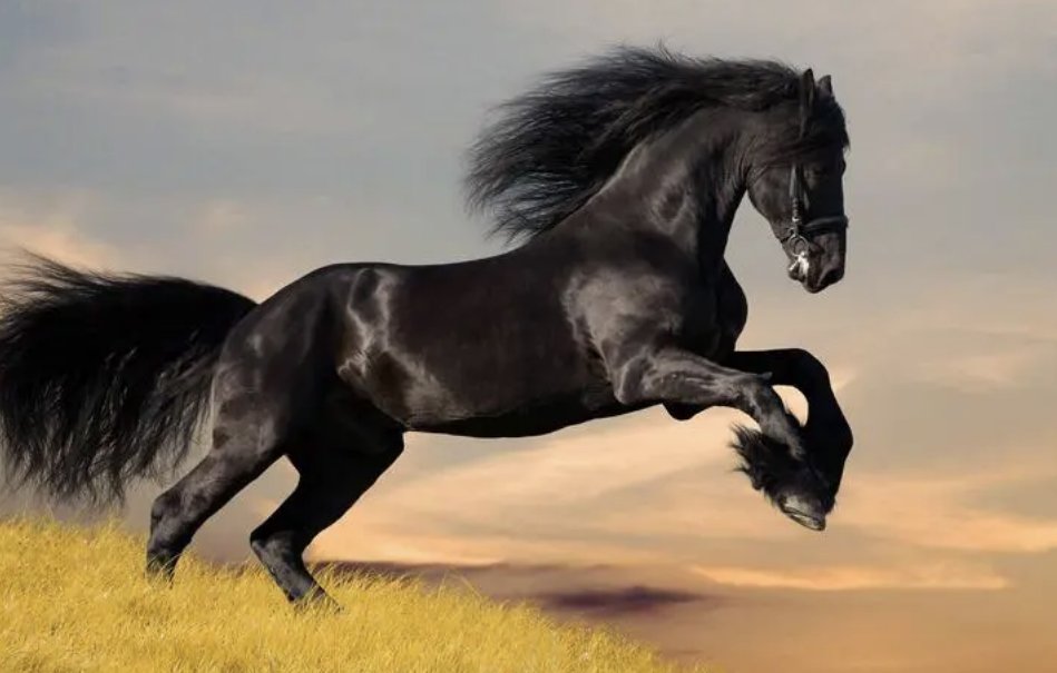 首当其冲近义词成语