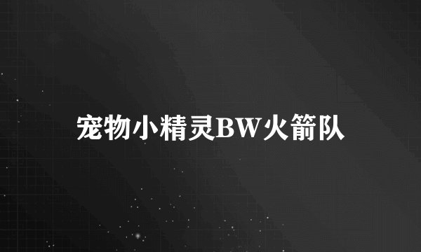 宠物小精灵BW火箭队