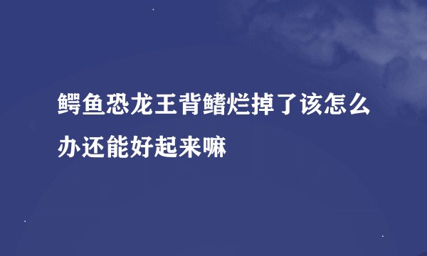 鳄鱼恐龙王背鳍烂掉了该怎么办还能好起来嘛