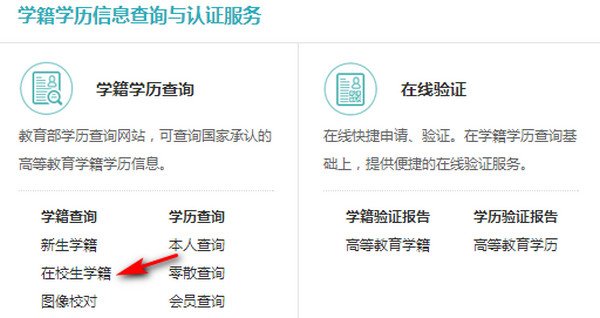高考考生号怎么查询？
