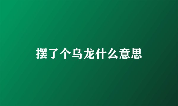 摆了个乌龙什么意思