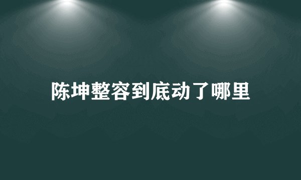 陈坤整容到底动了哪里