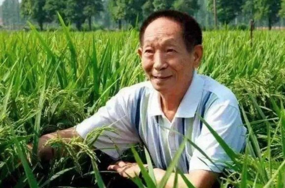 请问袁隆平被誉为什么？