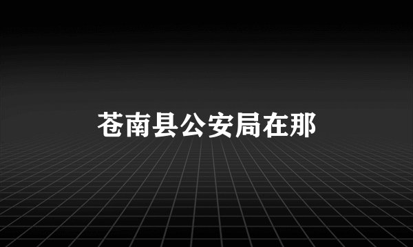 苍南县公安局在那