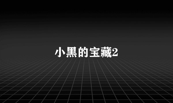 小黑的宝藏2