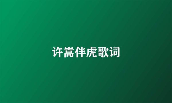 许嵩伴虎歌词