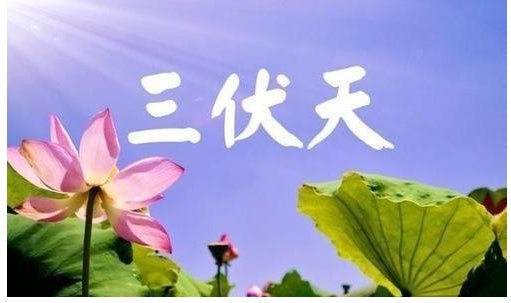 巽风答题三伏天一般在哪两个节气之间