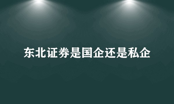 东北证券是国企还是私企