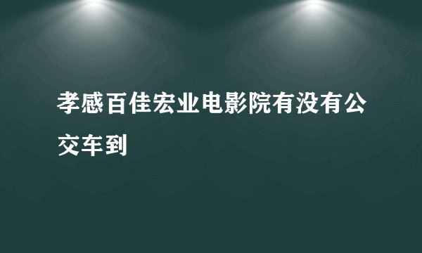 孝感百佳宏业电影院有没有公交车到