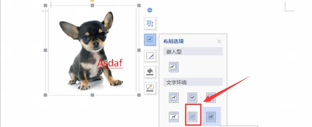 怎么在WPS里把文本框和图片组合在一起