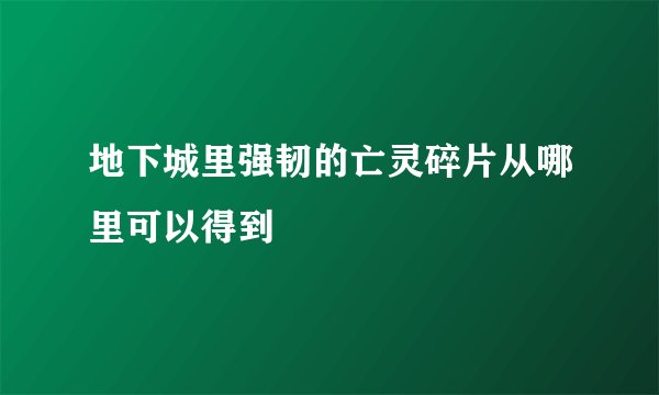 地下城里强韧的亡灵碎片从哪里可以得到