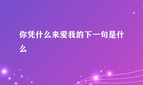 你凭什么来爱我的下一句是什么