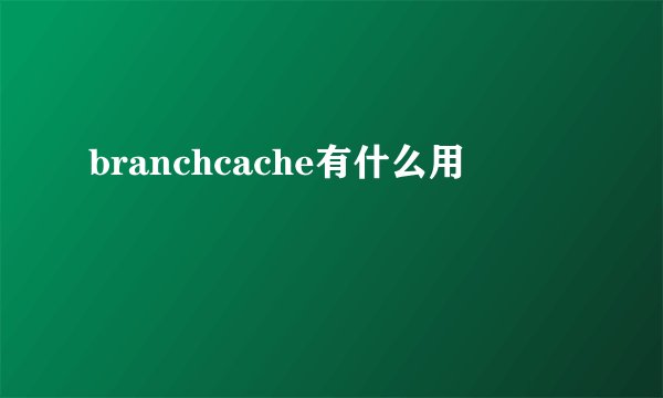 branchcache有什么用
