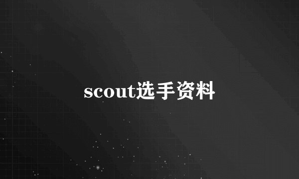 scout选手资料