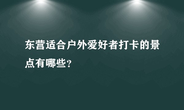 东营适合户外爱好者打卡的景点有哪些？