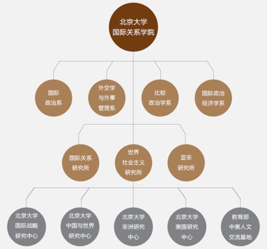 北大有国际关系学院吗