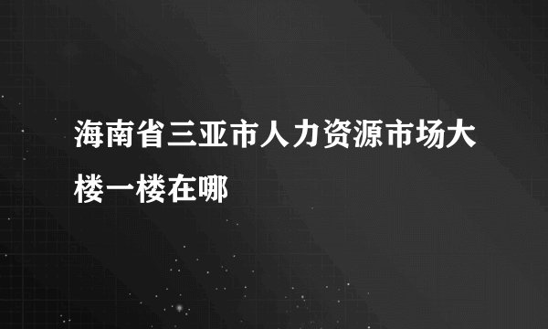 海南省三亚市人力资源市场大楼一楼在哪