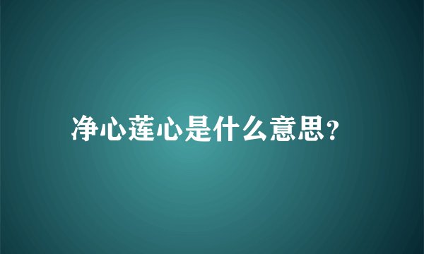 净心莲心是什么意思？