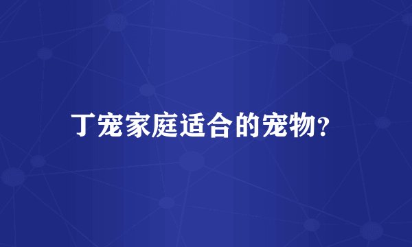 丁宠家庭适合的宠物？