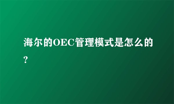 海尔的OEC管理模式是怎么的?