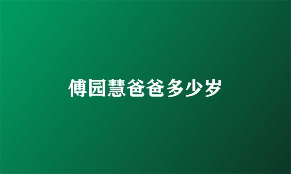 傅园慧爸爸多少岁