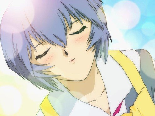 绫波育成计划的人物介绍