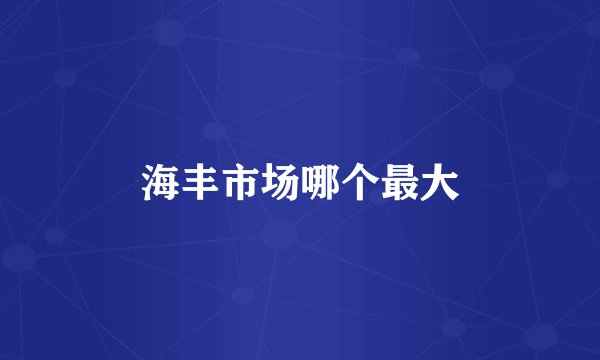 海丰市场哪个最大