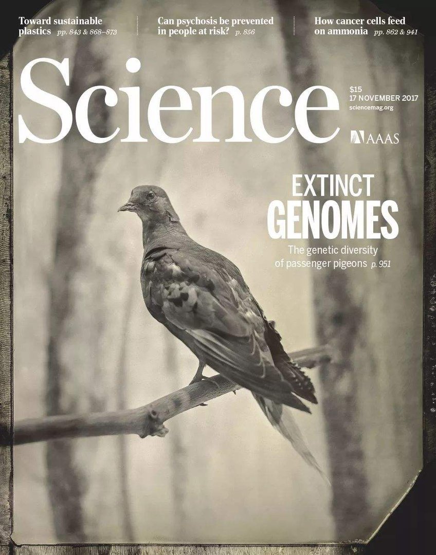 《nature》和《science》主刊与其子刊的档次差距？