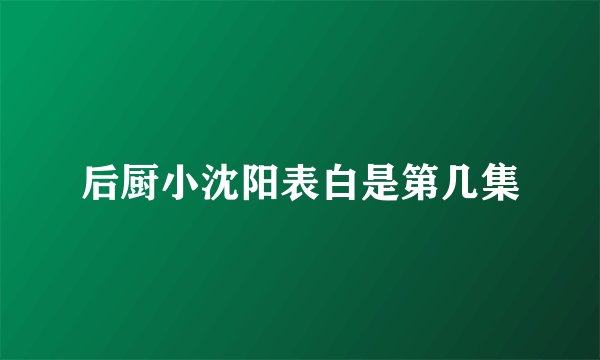 后厨小沈阳表白是第几集
