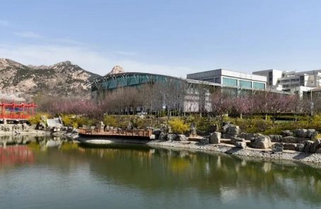青岛黄海学院分数线2023