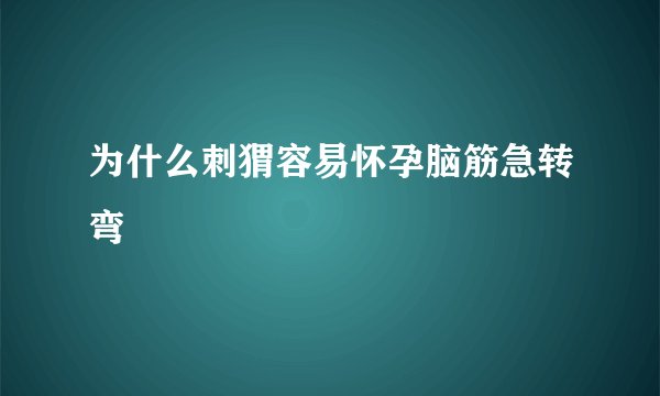 为什么刺猬容易怀孕脑筋急转弯