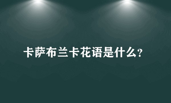 卡萨布兰卡花语是什么？