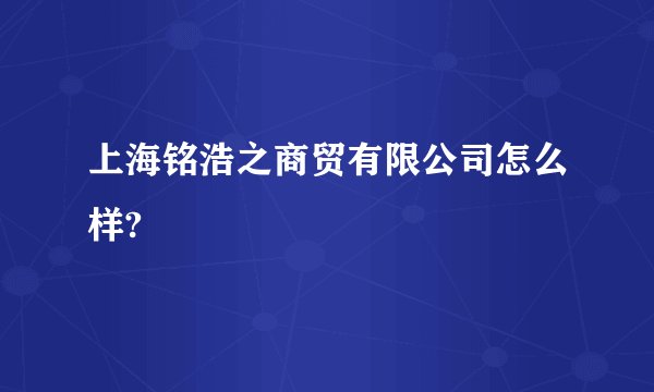 上海铭浩之商贸有限公司怎么样?
