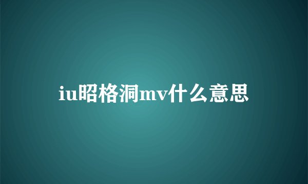 iu昭格洞mv什么意思