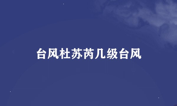 台风杜苏芮几级台风