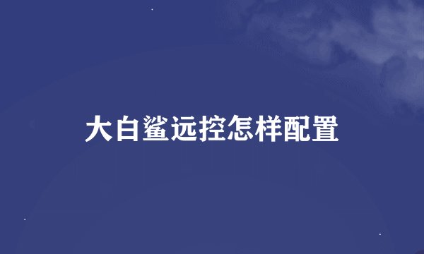 大白鲨远控怎样配置