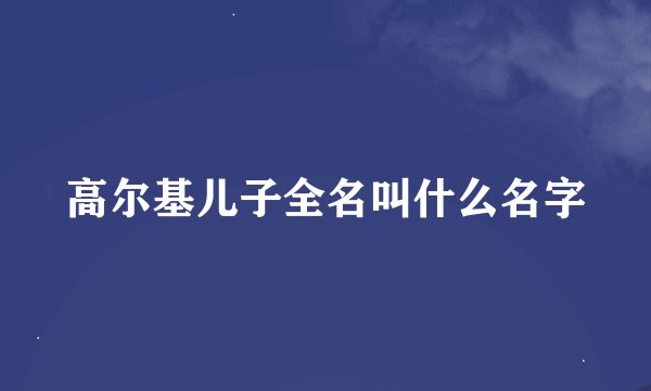 高尔基儿子全名叫什么名字