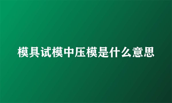 模具试模中压模是什么意思