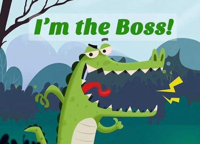 抖音im bitch im boss是什么歌