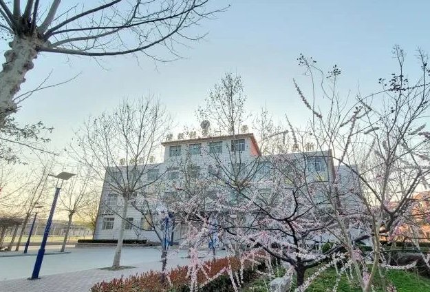 阳谷中考分数线