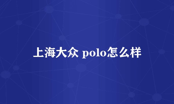 上海大众 polo怎么样